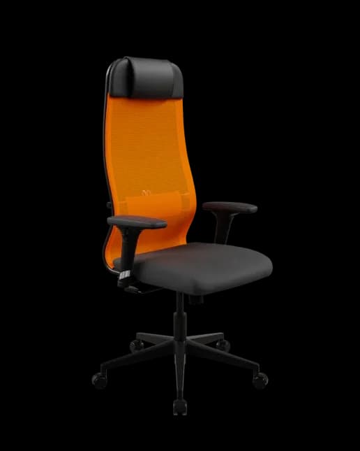 Кресло руководителя ErgoLife Set 11/подл.200/осн.Sit 002