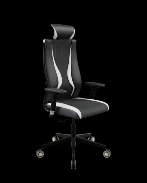 Кресло руководителя SynchroSit 10 B2-170D - Italy+UMF(SY271)+Extra /Kb38/Wh09/D03P/H13mL-Pf-2D(M24.B11.G19.W31)