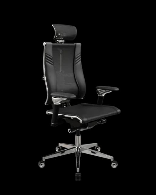 Эргономичное кресло Yoga Spine Triumph L2