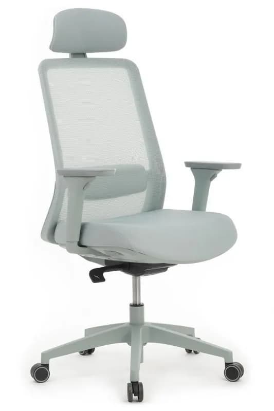 Эргономичное кресло Riva Ворк BLUE W-218C WHITE